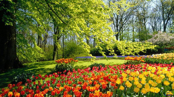 "татьяна" ******