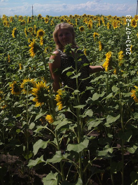 Светлана Колмогорова