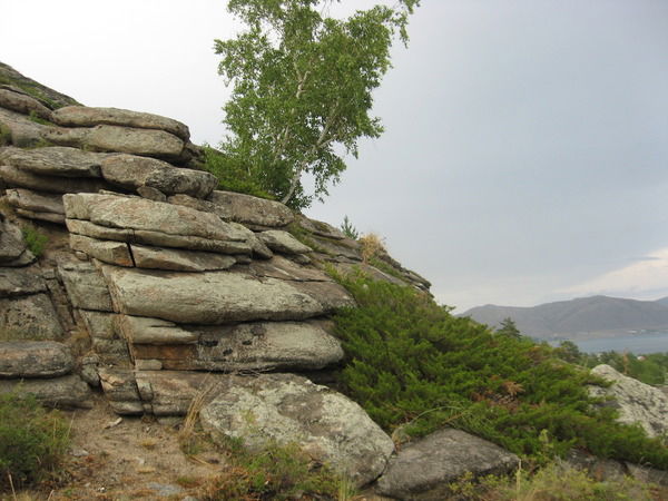 Наталья Яговец