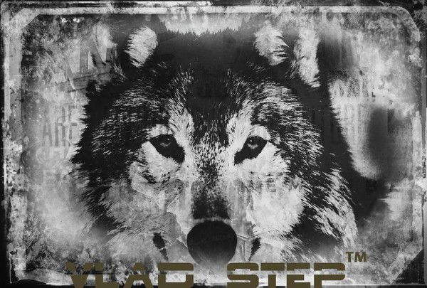 Vlad Step