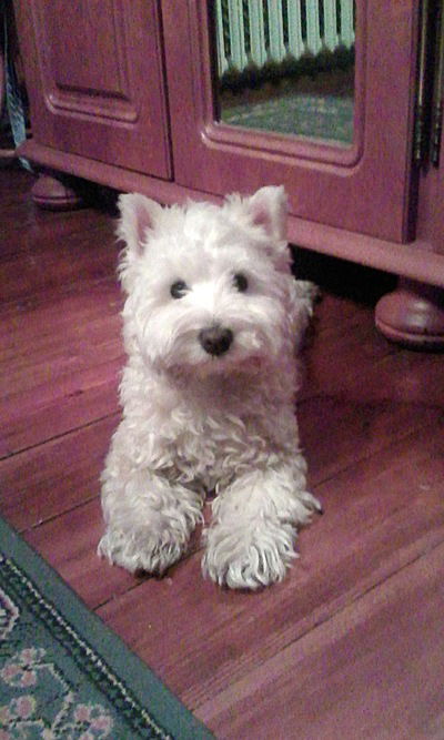 Анна Каптилович