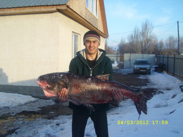 Нуржан Жамакур