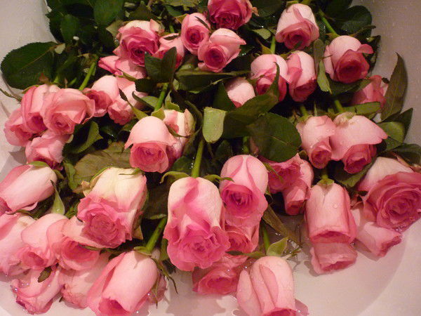 Оксана Рафальская