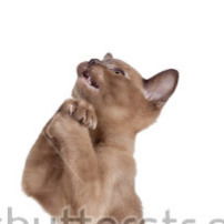 Владимир Рудов