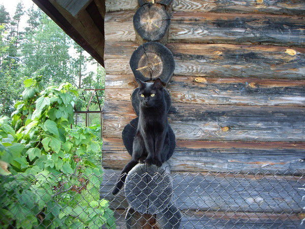 Галина Галочка