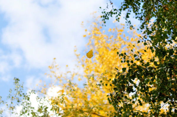 Олег Москвин