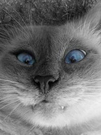 Слава Коротков