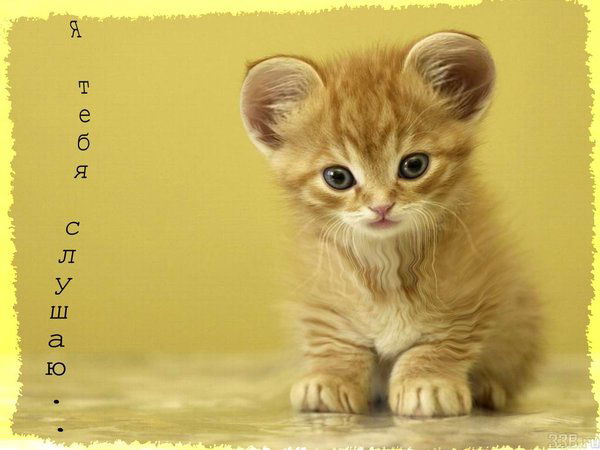 Anastasia Koplenkova