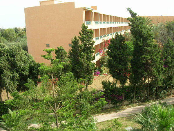 Татьяна Стечинская