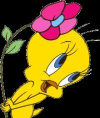 Анастасия Харченко