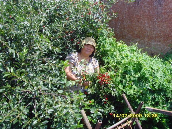 Карлыгаш Ахметова