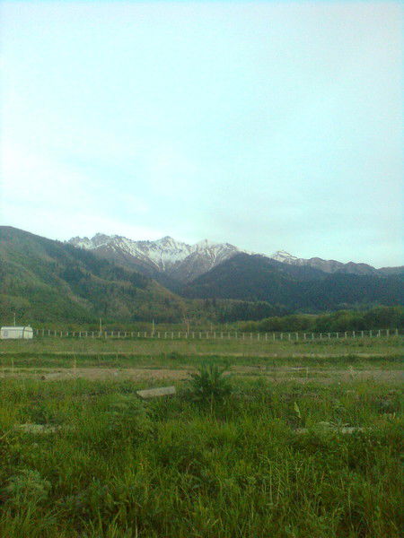 Артём Чибисов