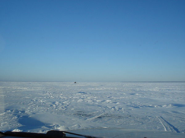 Алексей Алексей