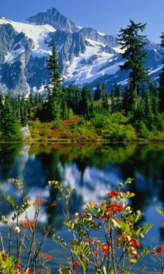 Ирина Осипчук