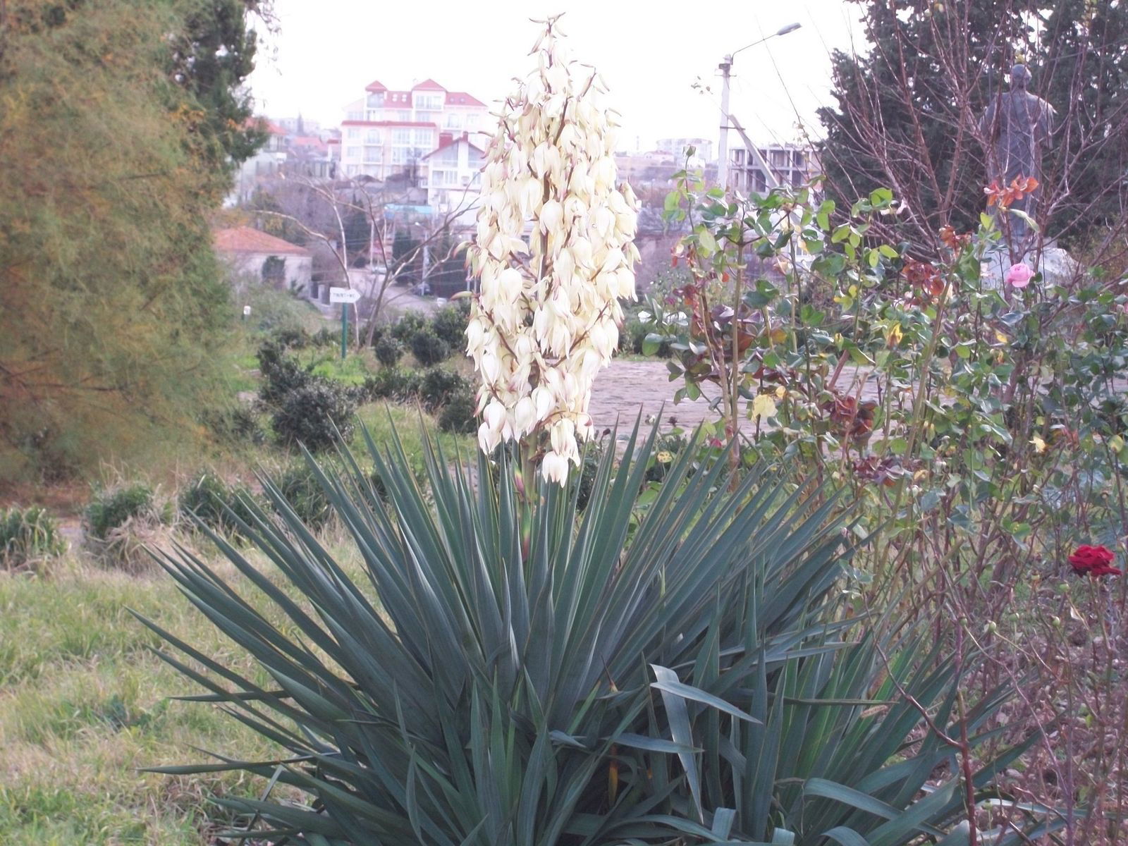 Павел Конев