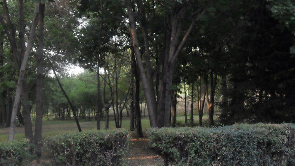 Жанат Кияшева