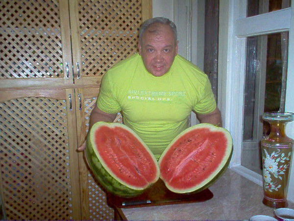 Андрей Богданов