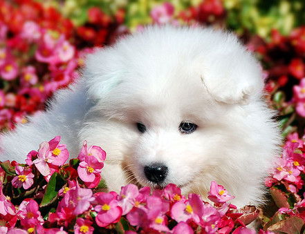 Волгина Наталья