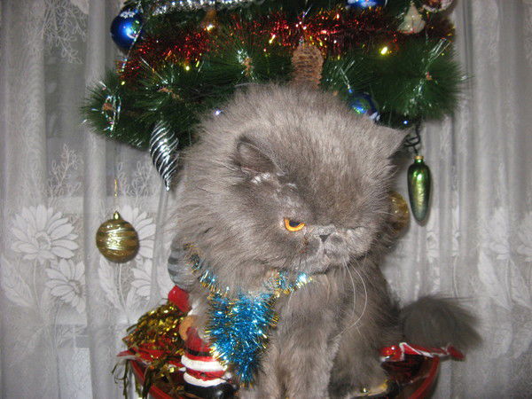 Александр Караваев