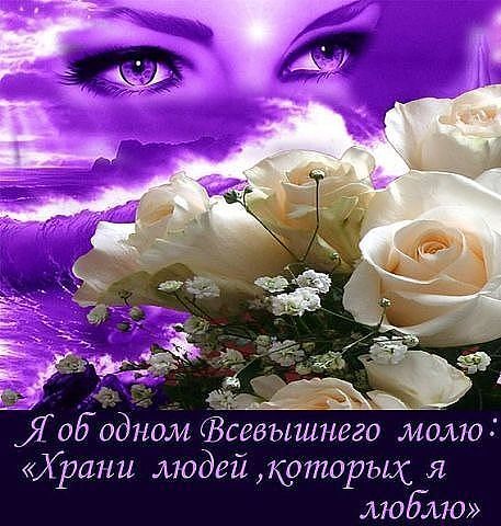 Елена Кокарева