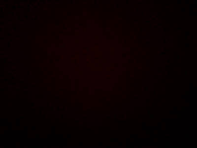 Толик Рыбаков