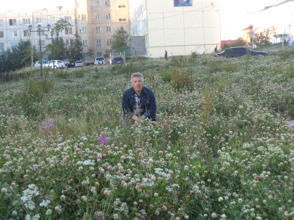 Виктор Чесноков