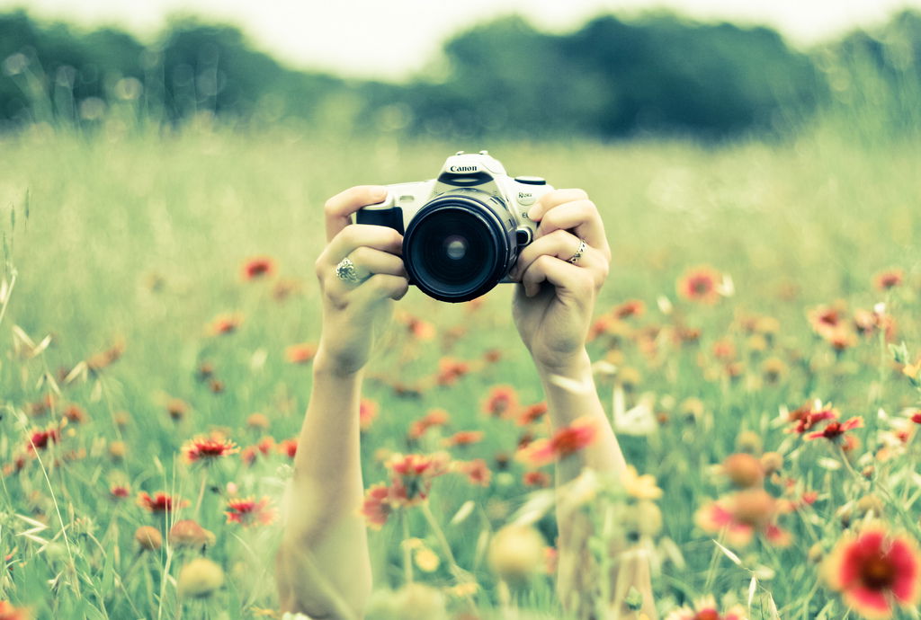 Валерьянка***