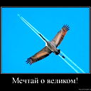 Золотой Золотой