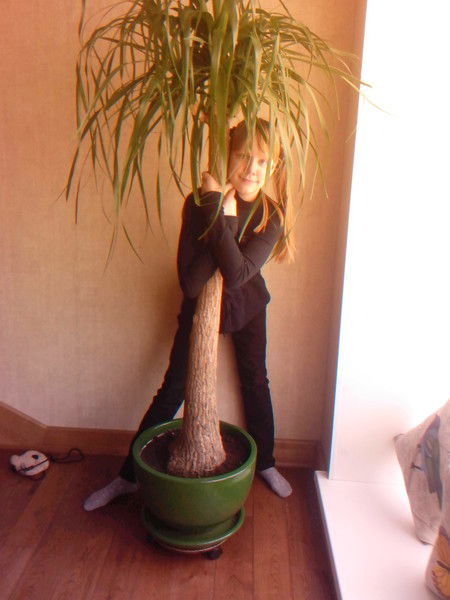 Алёна Фурсенко