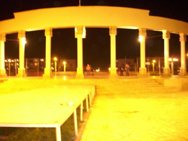 Шетский Сейфуллина