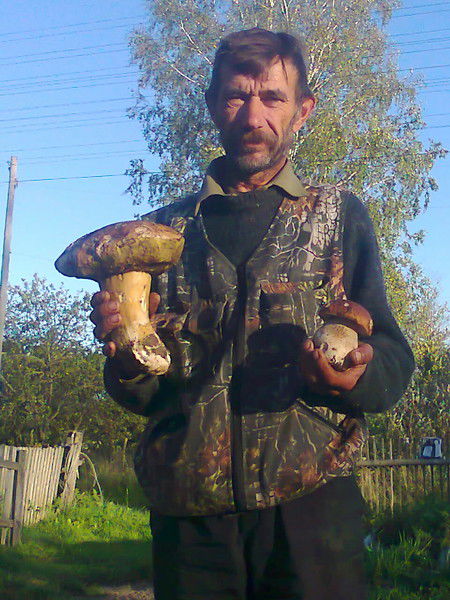 Александр Замахин