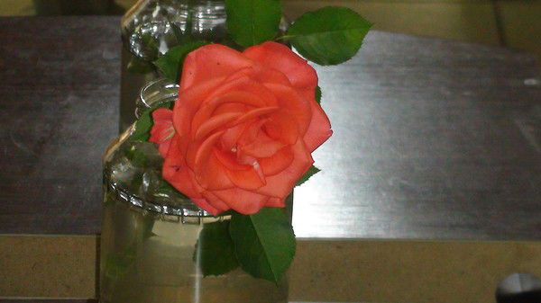 Любовь Веденина(Бондарева)