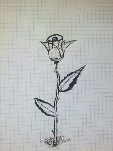 Дарья Шульгина