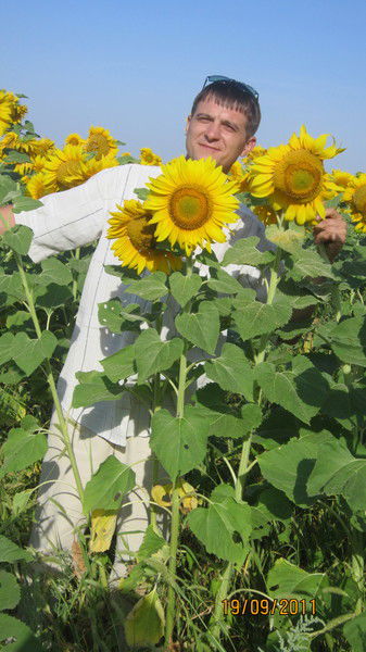 Алексей Образцов