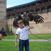 Павлік Губенко