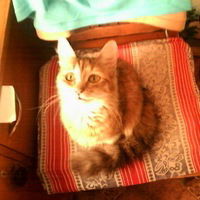 Мелитина Иванова