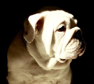 Юлия Рукоделова