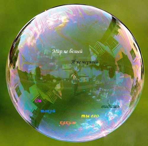 Алла Велиева