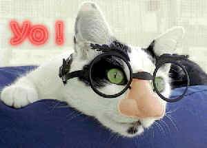 Римма Фатеева