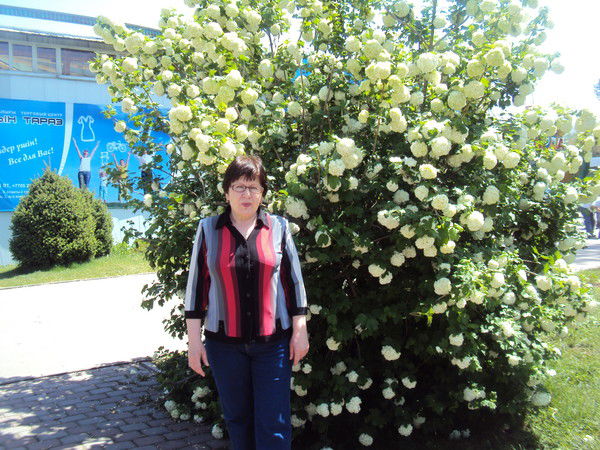 Людмила Сероокая