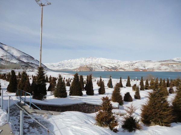 Фаина Sw-Семейная-Пара