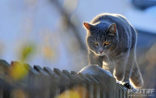 Ержан Смаилов