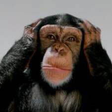 Иван Помехин