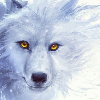 Дарина Чижова