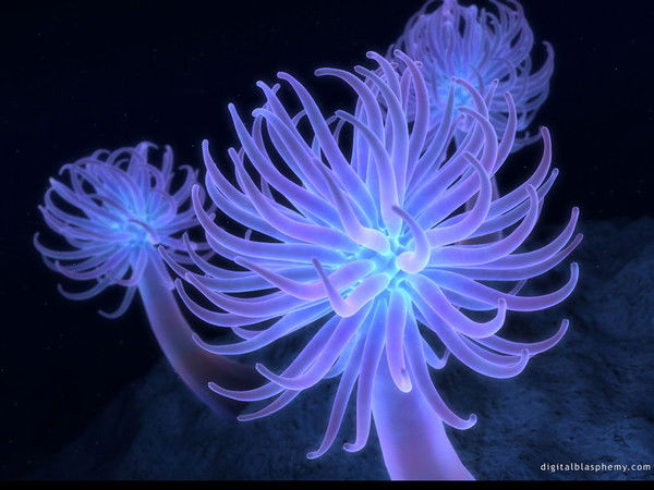 Ирина Фогель