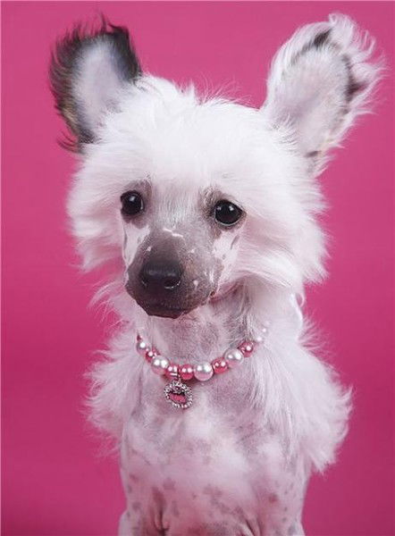 Сабина Куликова