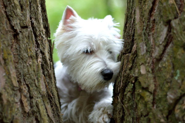 Михаил Федорищенко