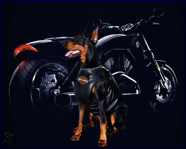 Трифонов Евгений