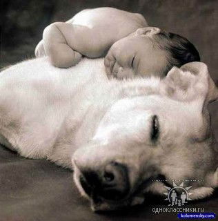 Елена Полозова