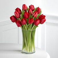 Темиров Мукимджон